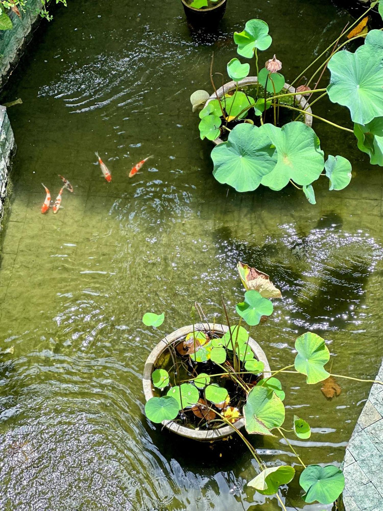 Sattva Yoga Retreat Villas ชังกู ภายนอก รูปภาพ