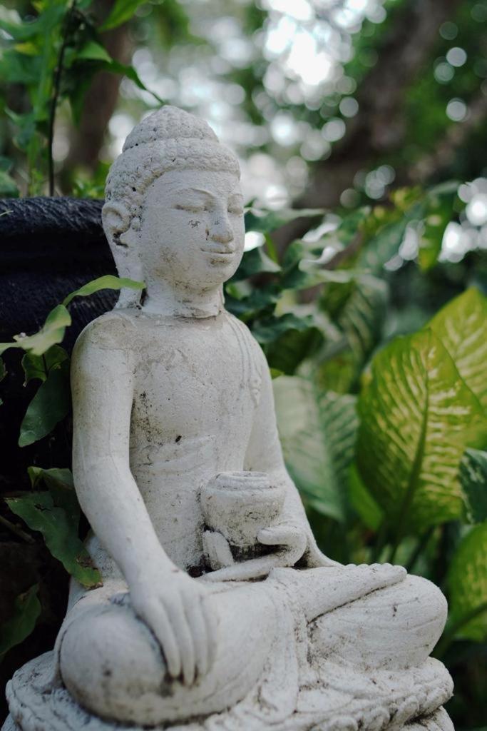 Sattva Yoga Retreat Villas ชังกู ภายนอก รูปภาพ